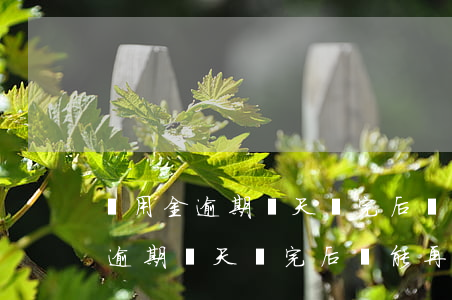 備用金逾期兩天還完后還能再用嗎-備用金逾期兩天還完后還能再用嗎