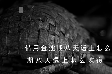 備用金逾期八天還上怎么恢復征信（備用金逾期八天還上怎么恢復）