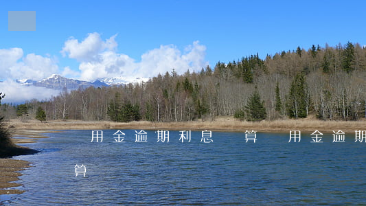 備用金逾期利息計算(備用金逾期利息怎么計算)