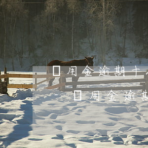 備用金逾期十八天什么時候能恢復(fù)-備用金逾期十八天什么時候能恢復(fù)額度