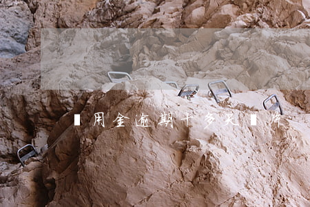 備用金逾期十多天圖片