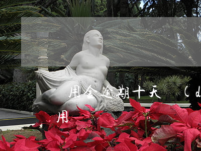 備用金逾期十天導(dǎo)致花唄不能使用