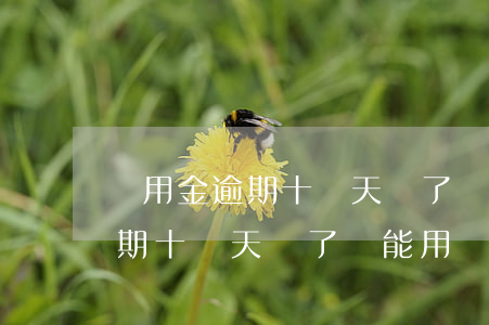 備用金逾期十幾天還了還能用嗎-備用金逾期十幾天還了還能用嗎