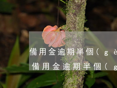 備用金逾期半個(gè)月還能取出來嗎-備用金逾期半個(gè)月還能取出來嗎安全嗎