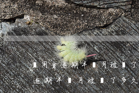 備用金逾期半個月被關了多久能開-備用金逾期半個月被關了多久能開通