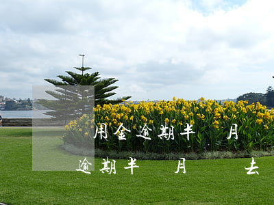 備用金逾期半個月還進去還能用嗎-備用金逾期半個月還進去還能用嗎安全嗎