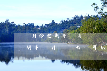 備用金逾期半個月還進還能使用-備用金逾期半個月還進去還可以用嗎