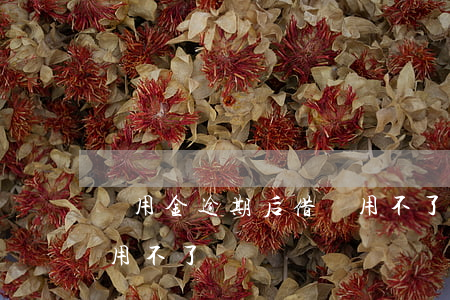 備用金逾期后借唄用不了(備用金逾期后借唄用不了)