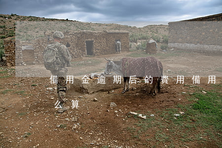 備用金逾期后的費用 備用金逾期后的費用怎么算