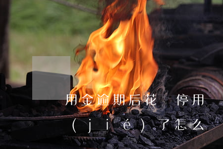 備用金逾期后花唄停用(備用金逾期花唄被凍結(jié)了怎么樣才可以重新使用)