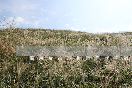 備用金逾期后還完就不能使用了嗎
