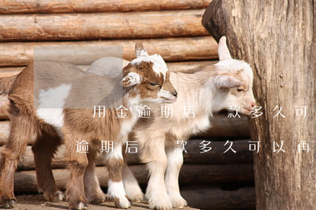 備用金逾期后還款多久可以再使用-備用金逾期后還款多久可以再使用啊