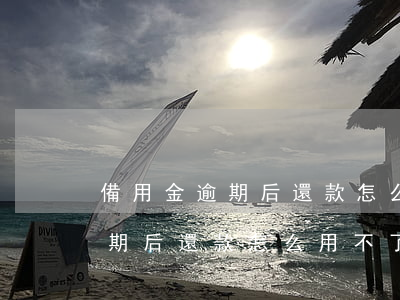 備用金逾期后還款怎么用不了了-備用金逾期后還款怎么用不了了呢