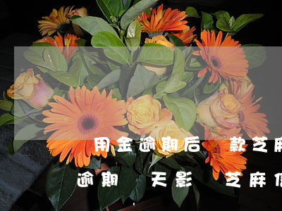 備用金逾期后還款芝麻分能提高嗎-備用金逾期兩天影響芝麻信用多久修復(fù)