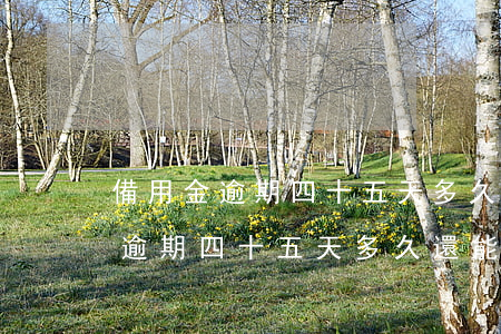 備用金逾期四十五天多久還能再用-備用金逾期四十五天多久還能再用啊