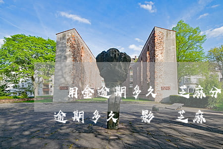 備用金逾期多久對芝麻分有影響嗎-備用金逾期多久會影響芝麻
