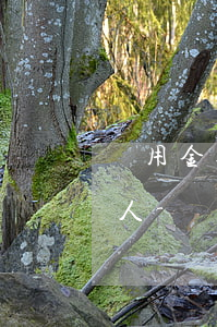 備用金逾期多久會(huì)通知身份證的人-備用金逾期多久會(huì)發(fā)短信