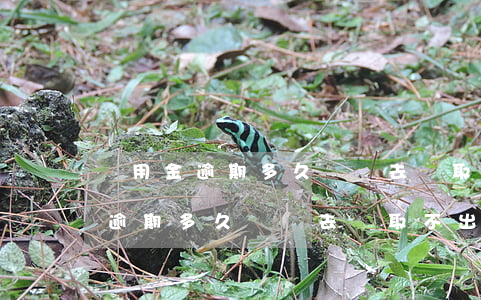 備用金逾期多久還進去會取不出來-備用金逾期多久還進去會取不出來了