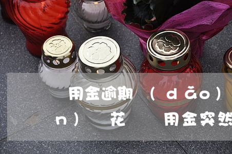 備用金逾期導(dǎo)致花唄關(guān)閉(花唄備用金突然關(guān)閉)