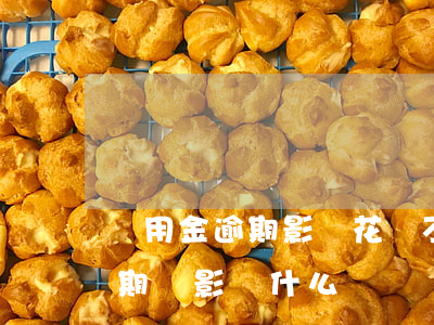 備用金逾期影響花唄不(支付寶備用金花唄逾期會影響什么)