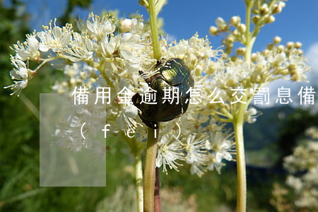 備用金逾期怎么交罰息(備用金逾期怎么扣費(fèi))