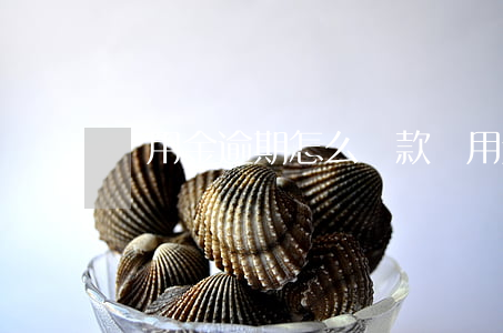 備用金逾期怎么還款(備用金逾期在哪里還款)