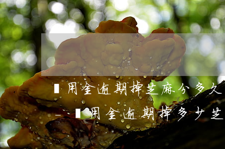 備用金逾期掉芝麻分多久可以恢復(fù)-備用金逾期掉多少芝麻