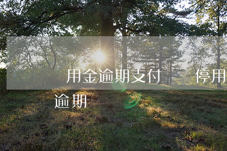 備用金逾期支付寶會停用嗎 支付寶備用金能逾期嗎
