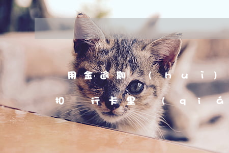 備用金逾期會(huì)自動(dòng)扣銀行卡里錢(qián)不-備用金逾期會(huì)自動(dòng)扣銀行卡里錢(qián)不還嗎