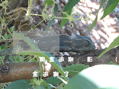 備用金逾期會影響網(wǎng)貸嗎(備用金逾期了會不會影響)