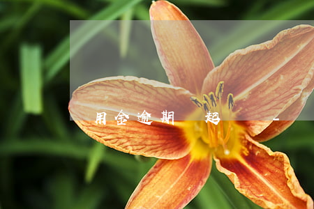 備用金逾期會起訴嗎-備用金逾期會起訴嗎