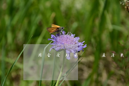備用金逾期未還，額度消失？解決方案在此！