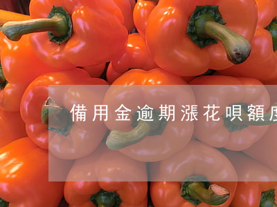 備用金逾期漲花唄額度