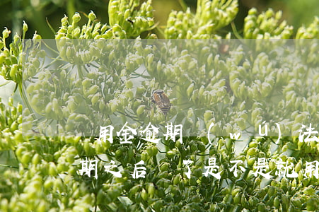 備用金逾期無(wú)法還款咋辦(備用金逾期之后還了是不是就用不了了)