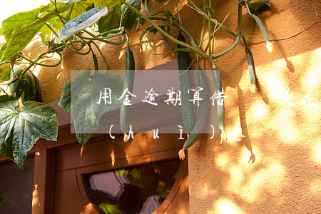 備用金逾期算借唄還是花唄(借唄備用金逾期會(huì)怎樣)