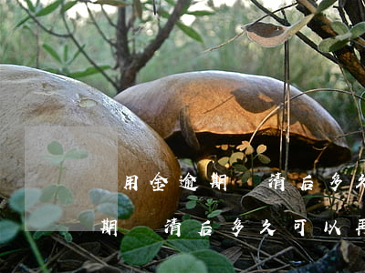 備用金逾期結清后多久可以再借-備用金逾期結清后多久可以再借出來