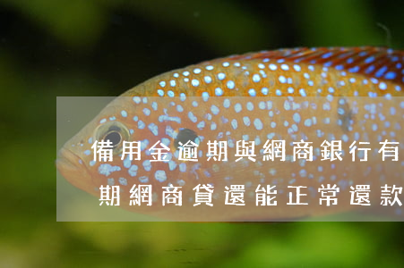 備用金逾期與網商銀行有關系嗎-備用金逾期網商貸還能正常還款嗎嗎