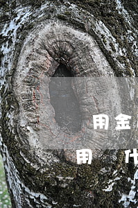 備用金逾期花唄不可用(備用金逾期還了可以用為什么花唄不能用了)