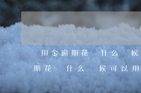備用金逾期花唄什么時候可以用-備用金逾期花唄什么時候可以用了