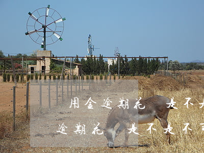 備用金逾期花唄是不是不可以用了-備用金逾期花唄是不是不可以用了呢