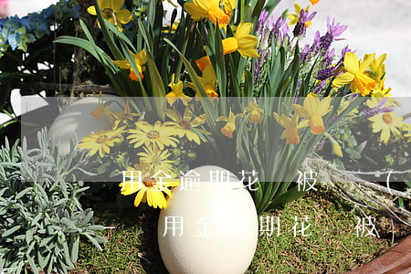 備用金逾期花唄被凍結(jié)怎么回事-備用金逾期花唄被凍結(jié)怎么回事啊