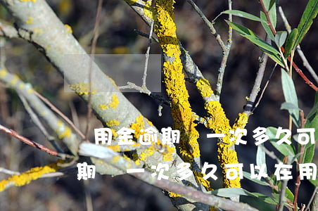 備用金逾期過一次多久可以在用-備用金逾期過一次多久可以在用啊