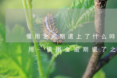 備用金逾期還上了什么時(shí)候再能用-備用金逾期還了之后什么時(shí)候可以再用