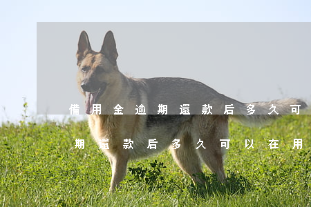 備用金逾期還款后多久可以在用-備用金逾期還款后多久可以在用借唄