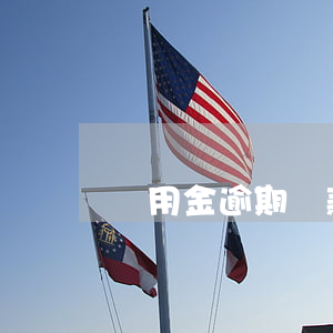 備用金逾期還款圖片(備用金到期還款的圖片)