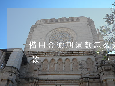 備用金逾期還款怎么還(備用金逾期在哪里還款)