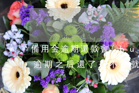 備用金逾期還款會(huì)怎么樣(備用金逾期之后還了是不是就用不了了)