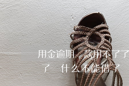備用金逾期還款用不了了(備用金逾期了然后還了為什么不能借了)