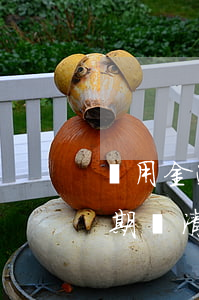 備用金逾期還清了還是顯示逾期-備用金逾期還清了還是顯示逾期怎么辦