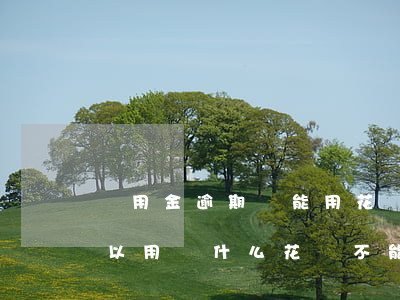 備用金逾期還能用花唄嘛(備用金逾期還了可以用為什么花唄不能用了)